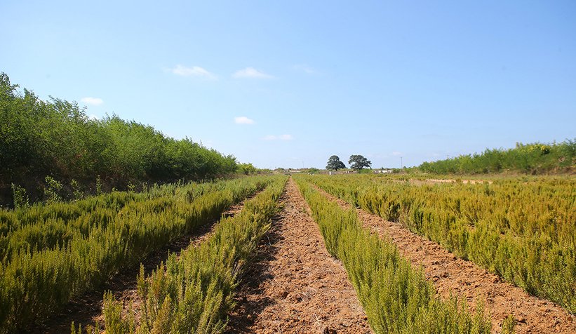 Yüce, Çiftçiler Günü'nü kutladı