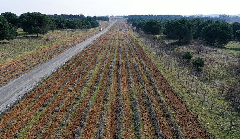 Yüce, Çiftçiler Günü'nü kutladı