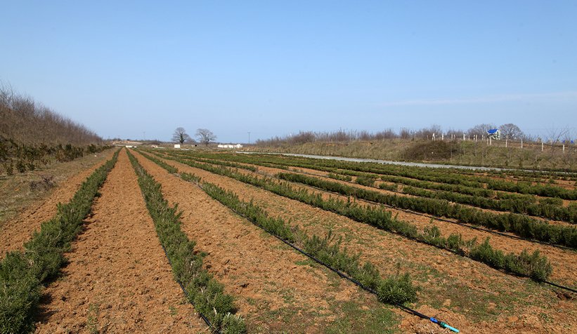 Yüce, Çiftçiler Günü'nü kutladı