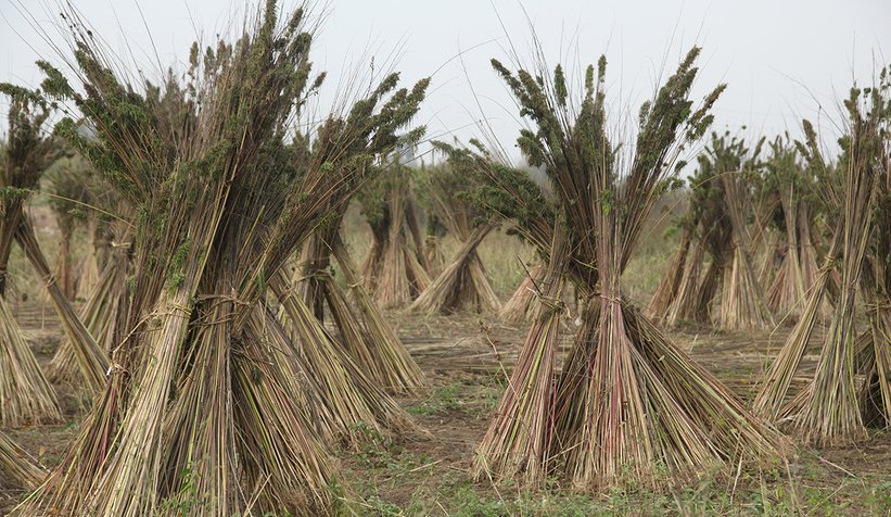 Yüce, Çiftçiler Günü'nü kutladı