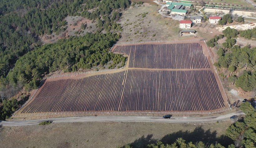 Yüce, Çiftçiler Günü'nü kutladı