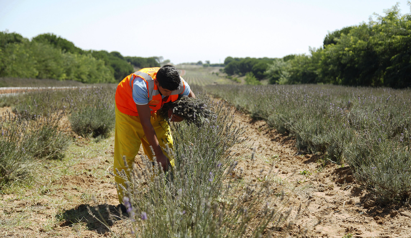 Yüce, tarım projelerini anlattı