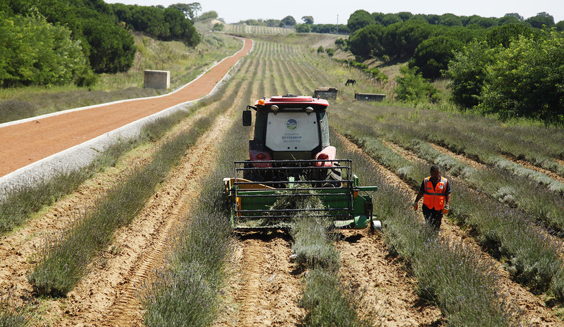 Yüce, tarım projelerini anlattı