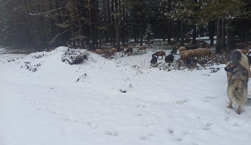 Yüksek kesimler beyaza büründü