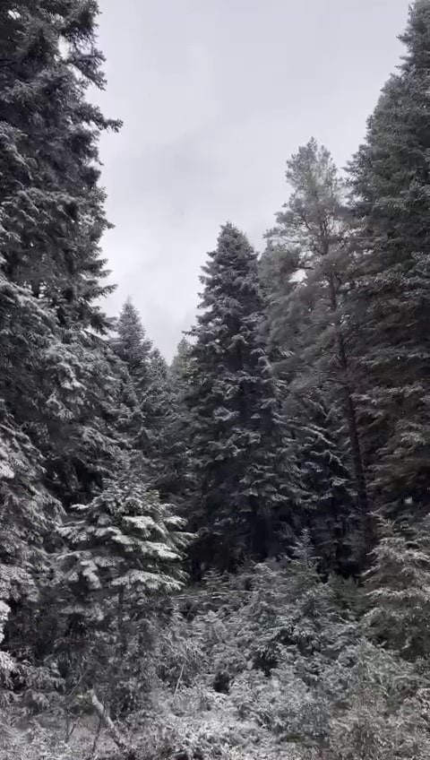 Yüksek kesimlerde kar kalınlığı 25 santimetreye ulaştı