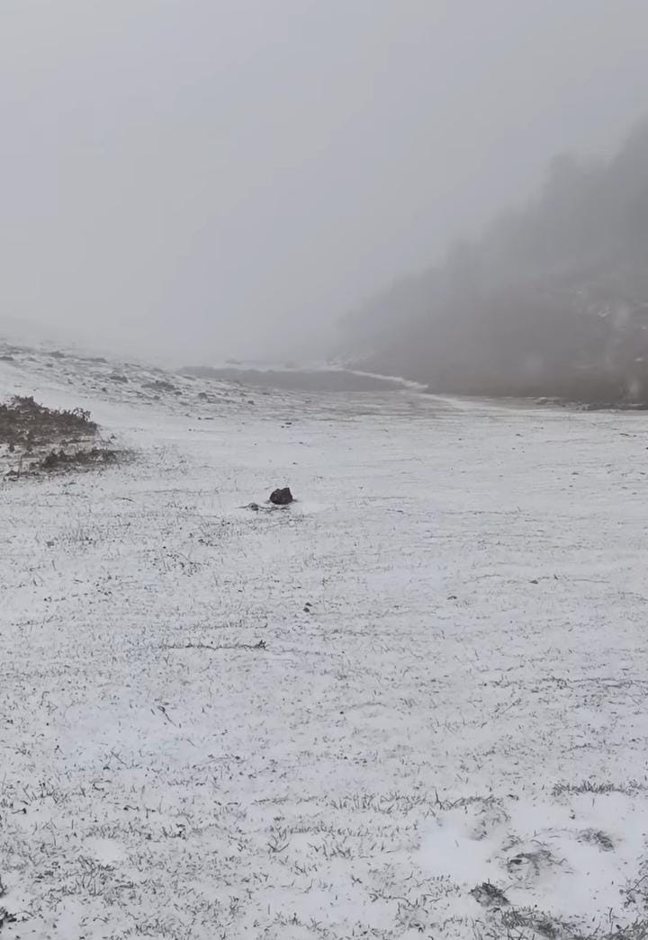 Yüksek kesimlerde kar yağışı başladı