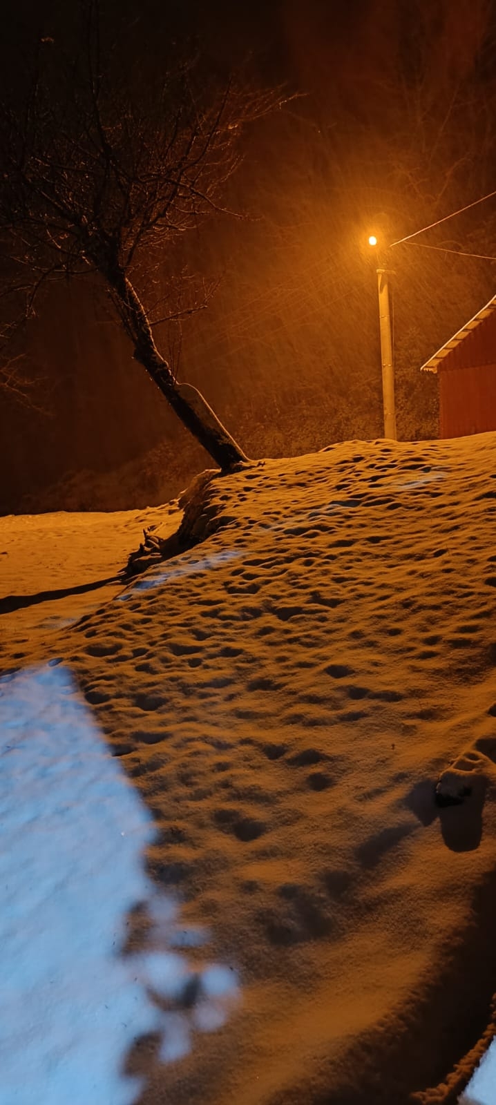 Yüksek kesimlere kar yağdı