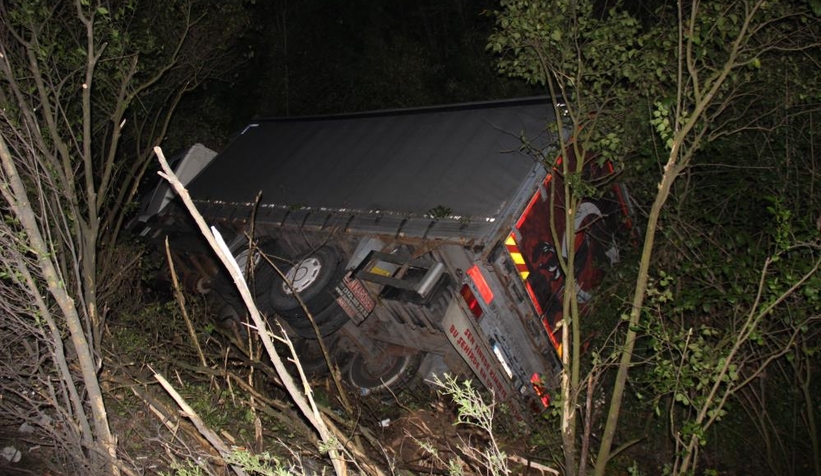 Yumurta dolu kamyon şarampole devrildi