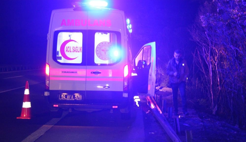 Yumurta dolu kamyon şarampole devrildi