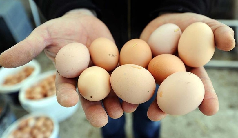 Yumurta fiyatları için müfettiş görevlendirildi