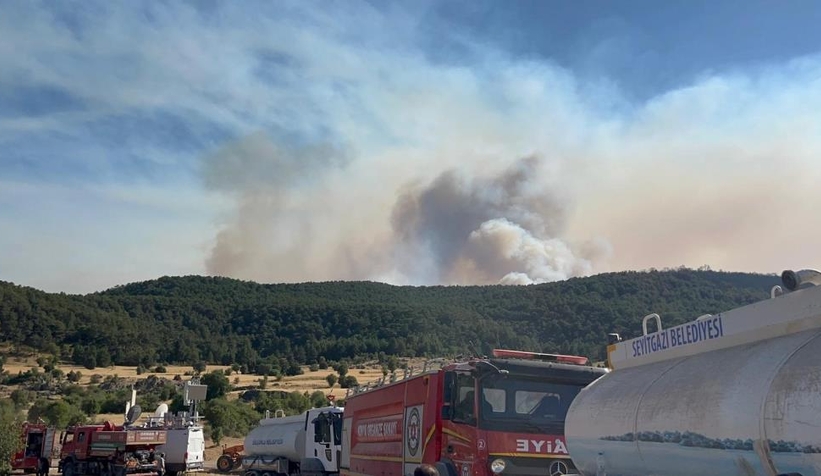 Yüreğimiz yanıyor; Orman yangınında 10 şehit