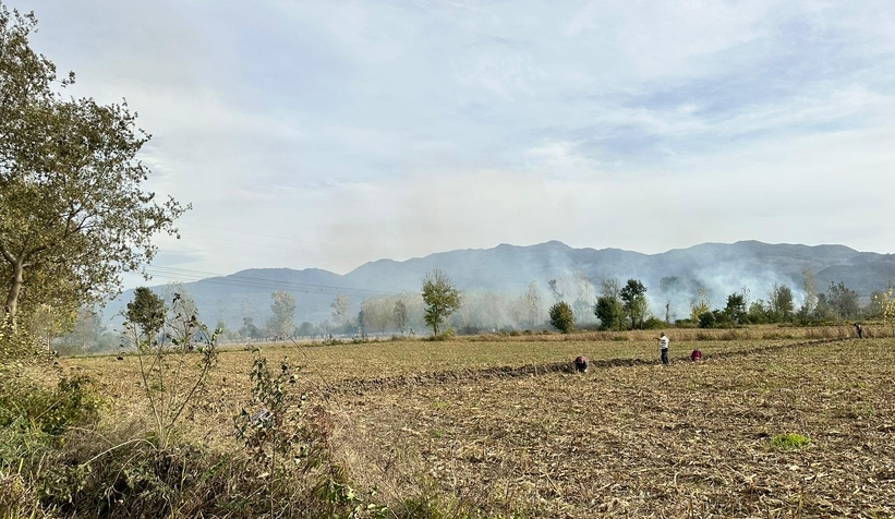 Yuvalak'ta anız yangını