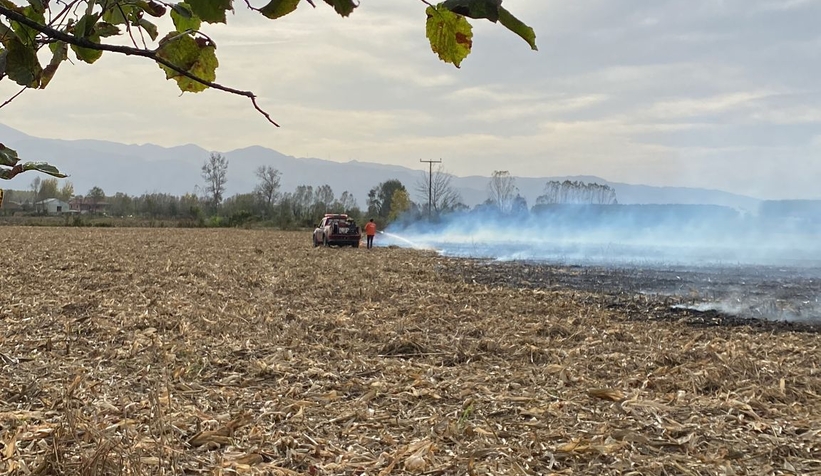 Yuvalak'ta anız yangını