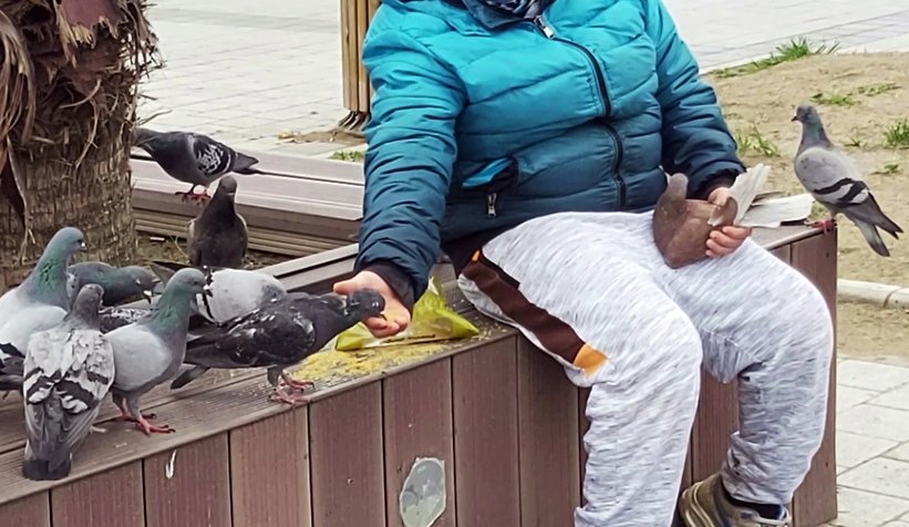 Yüzlerce kuşu elleriyle besledi