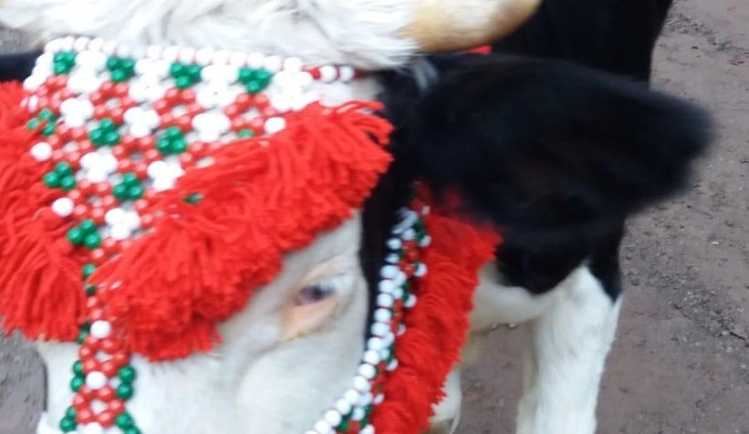 Yüzyıllık göç başladı