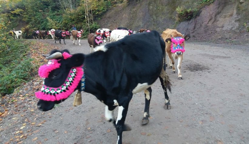 Yüzyıllık göç başladı