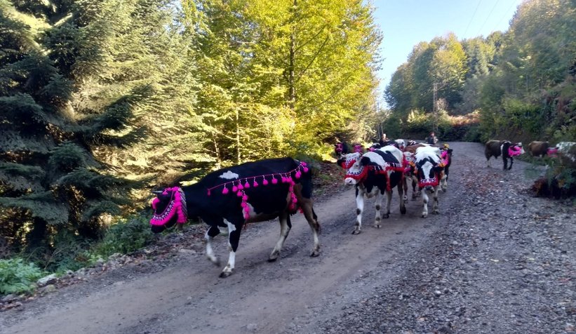 Yüzyıllık göç başladı
