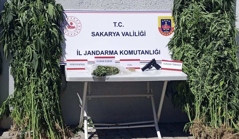 Zehir tacirlerine üç ilçede operasyon