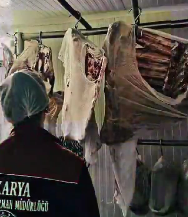 zehirlenme-vakalari-sonrasi-sakarya-alarmda-gida-denetimleri-sikilastirildinthmy0q3qj