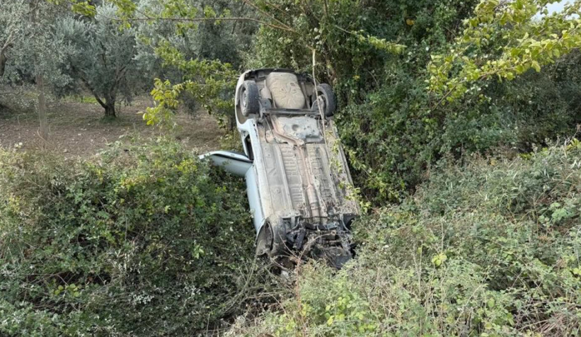 zeytinlige-uctuownnvmlfrt