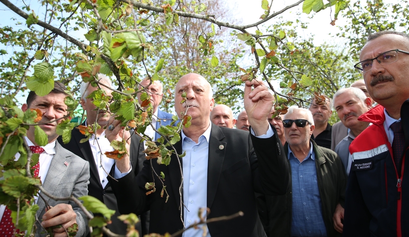 zirai-don-arastirma-komisyonu-sakarya-da-inceleme-yapacakbnhqn2h5t0