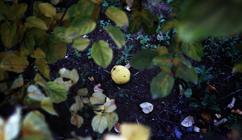 zirai-don-vurdu-eve-gelen-misafire-ikram-edecek-kadar-yokzgnlendnam