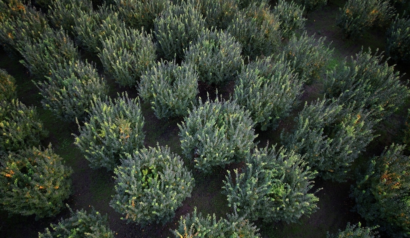 zirai-don-vurdu-eve-gelen-misafire-ikram-edecek-kadar-yokzgnlendnam