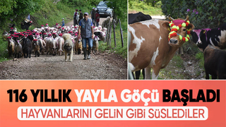 Gelin gibi süslenen hayvanları ile göçe başladılar