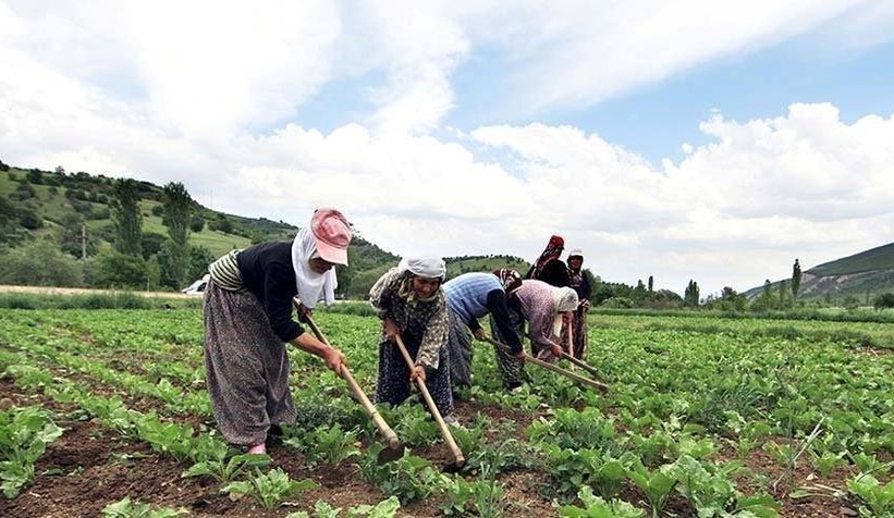 Gelir vergisi kesintileri çiftçiye iade edilecek