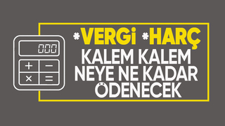 Gelir vergisi tarifesi ile 2024'te uygulanacak vergi ve harç tutarları belli oldu