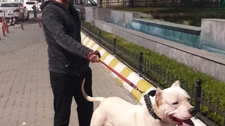 Genç Emirhan'dan acı haber