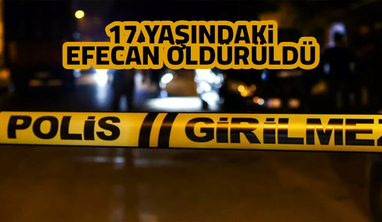 Gençlerin kavgası cinayetle bitti