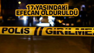 Gençlerin kavgası cinayetle bitti