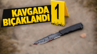 Gençlerin kavgasında kan aktı