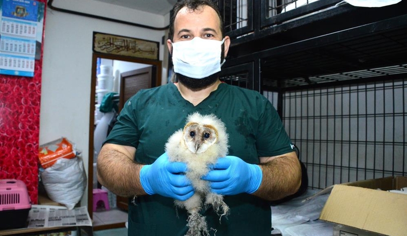 Gerçeği çatıya çıkınca öğrendiler