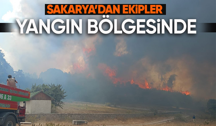 Gerede yangını için sakarya'dan ekipler sevk edildi