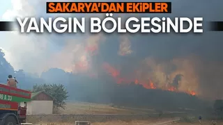 Gerede yangını için sakarya'dan ekipler sevk edildi