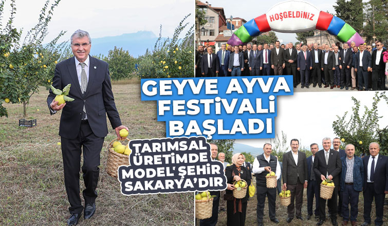 Geyve Ayva Festivali başladı