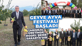 Geyve Ayva Festivali başladı