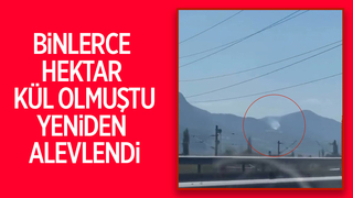 Geyve'de alevler yenin yükseldi