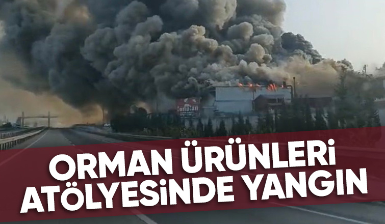 Geyve'de büyük fabrika yangını