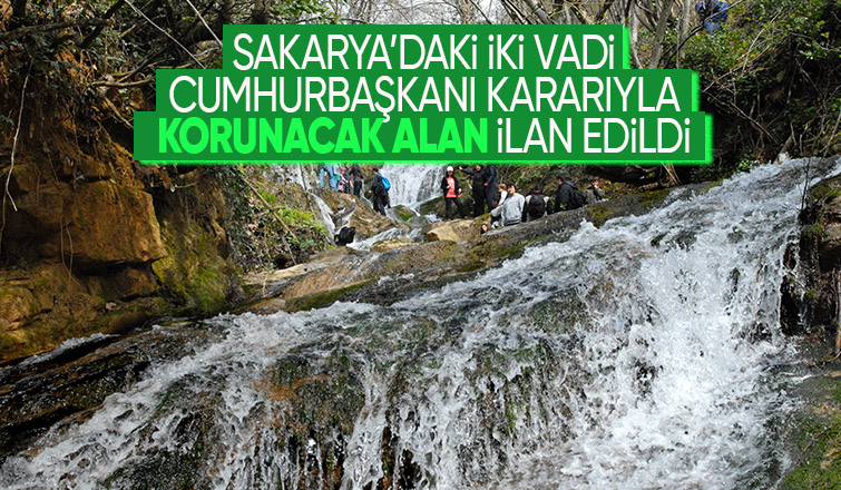 Geyve'de iki yer kesin korunacak hassas alan ilan edildi