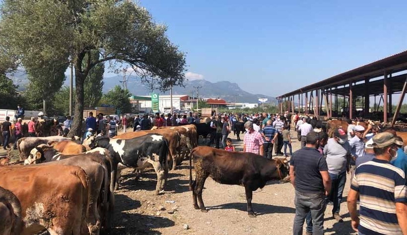 Geyve'de Kurban hareketliliği