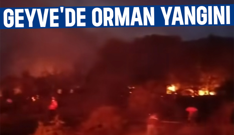Geyve'de orman yangını söndürüldü