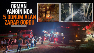 Geyve'de orman yangını