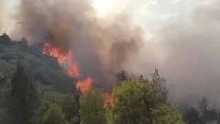Geyve'de orman yangını