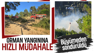 Geyve'de orman yangını