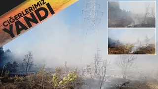Geyve'de orman yangını