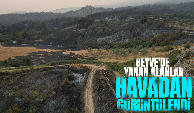Geyve'de yanan alanlar havadan görüntülendi