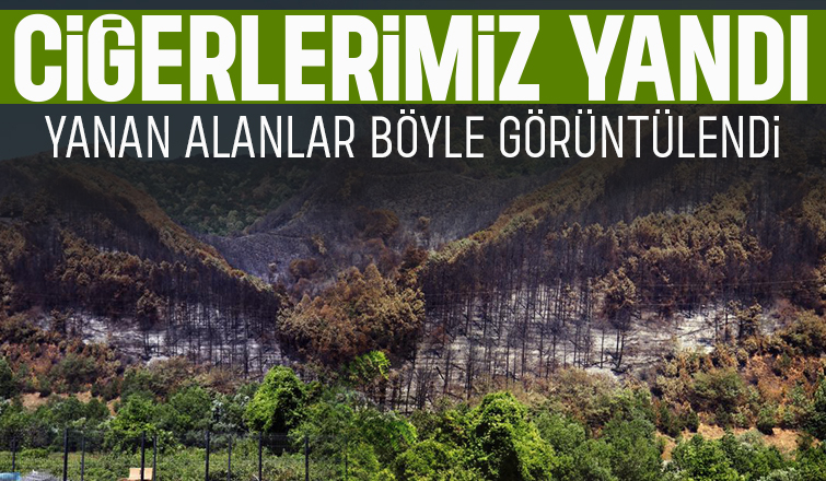 Geyve'de yanan ormanlık alan havadan görüntülendi